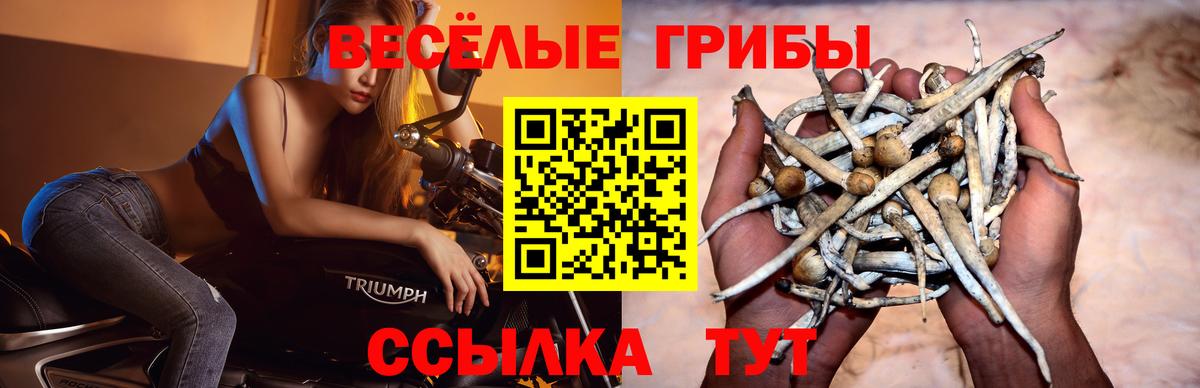 Оренбург  Галлюциногенные грибы прущие грибы  Псилоцибиновые грибы MAGIC MUSHROOMS  Вход с VPN 